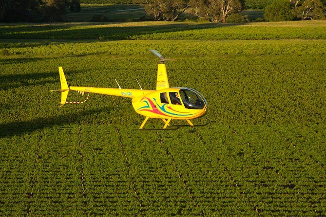 Western Ridge & Valley Floor: 20-Minute Helicopter Flight - Why This Tour Offers Good Value