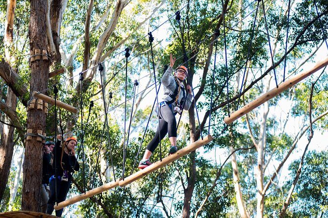 Western Sydney Tree Ropes Course - A Complete Look at Western Sydney Tree Ropes Course