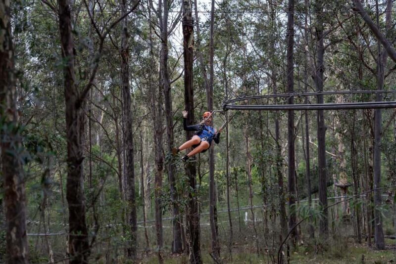 Western Sydney: Zipcoaster Experience - Who Will Enjoy This?