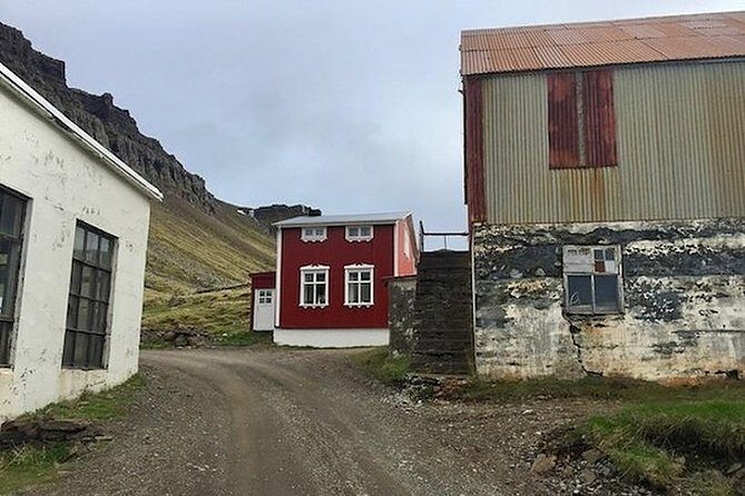 Westfjords Strandir - Private - Exploring Iceland’s Westfjords on a Private Tour: A Detailed Review