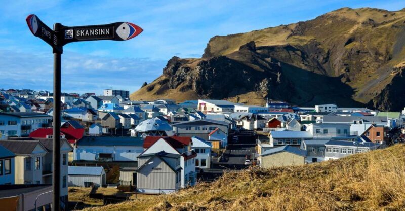 Westman Islands Day Tour from Reykjavik - An In-Depth Look at the Westman Islands Day Tour