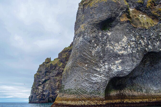 Westman Islands, Volcanoes and Puffins Small Group Tour - Final Thoughts