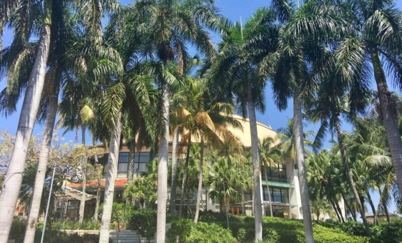 Wet & Dry Fort Lauderdale - An In-Depth Look at Wet & Dry Fort Lauderdale