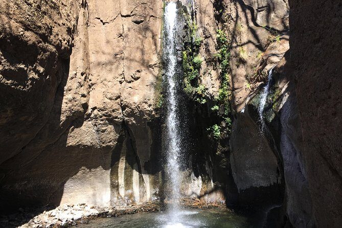 Wet & Wild: Tamanique Waterfalls + Craft Beer sampling & Lunch - Practical Considerations and Who Will Love This Tour