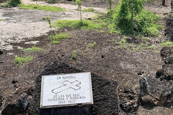 Wetlands Tour with Wall of Tears from Isabela Island - Key Points