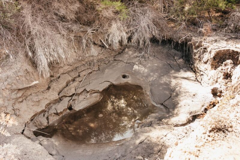 Whakarewarewa: Self-Guided Geothermal Trails - Value and Practical Tips