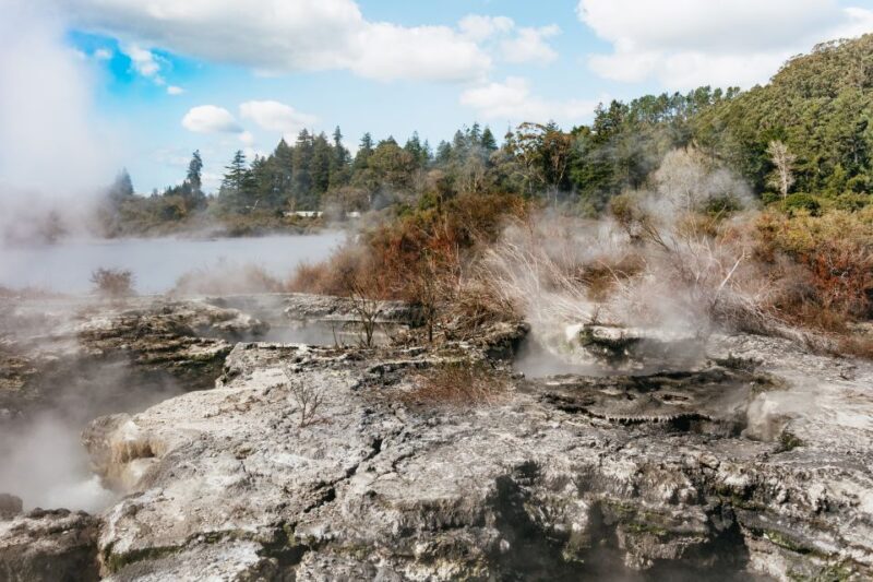 Whakarewarewa: Self-Guided Geothermal Trails - FAQ