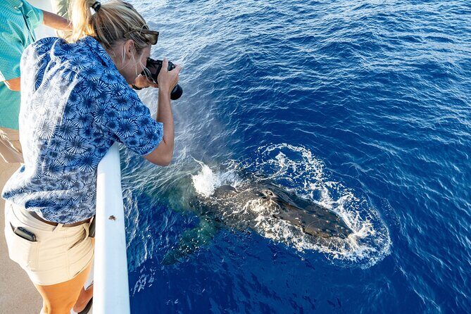 Whale and Dolphin Watch Boat Cruise in Oahu - Experience the Majesty of Oahu’s Waters with a Whale and Dolphin Watch Boat Cruise