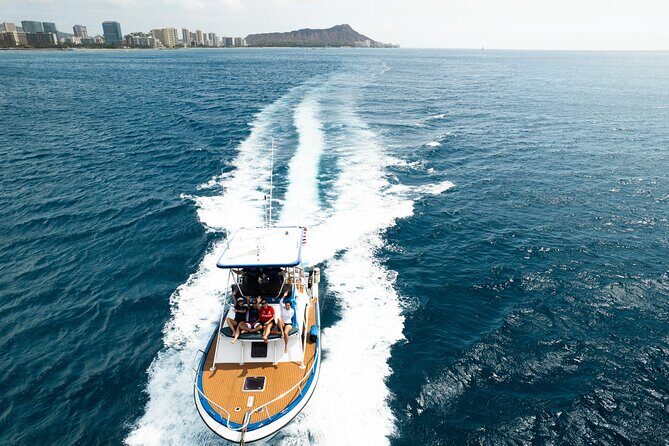 Whale and Dolphin Watch Boat Cruise in Oahu - Frequently Asked Questions