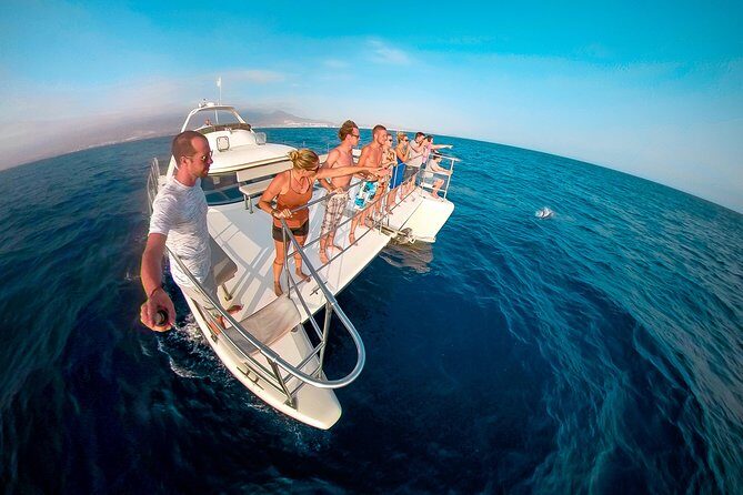 Whale and Dolphin Watching Catamaran with Transfer and Buffet - Authentic Perspectives from Travelers