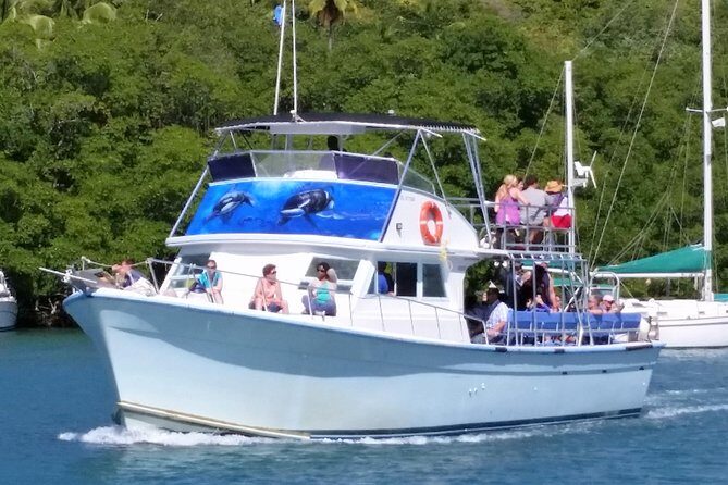 Whale and Dolphin Watching Cruise in St Lucia - In-Depth Review of the Whale and Dolphin Watching Cruise