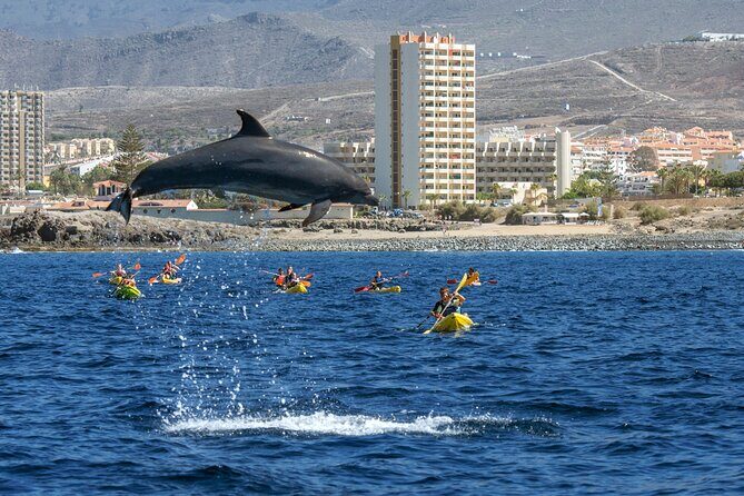Whale and Dolphin Watching EcoAdventure in Tenerife - Whale and Dolphin Watching EcoAdventure in Tenerife: A Close Encounter with Marine Life