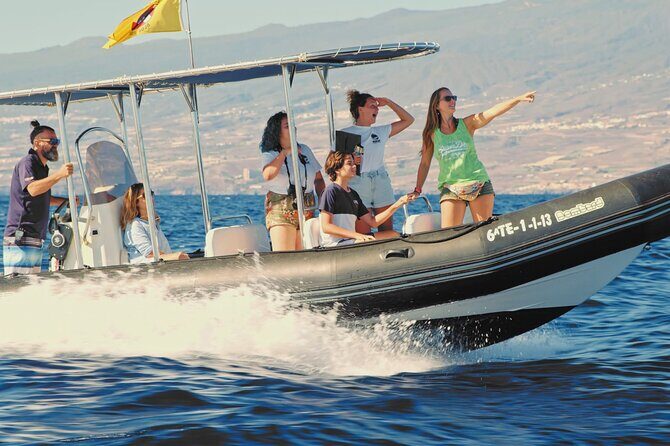 Whale and Dolphin Watching EcoAdventure in Tenerife - Detailed Review: Why You’ll Love This Eco-Adventure