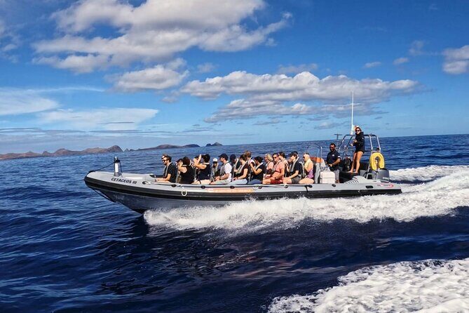 Whale and Dolphin Watching Tour from Funchal - FAQ