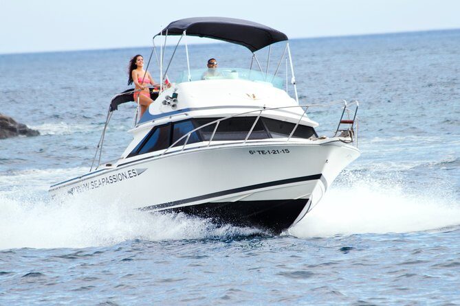 Whale and dolphin watching tour Los Gigantes and Masca in small groups - Whale and Dolphin Watching Tour Los Gigantes and Masca in Small Groups