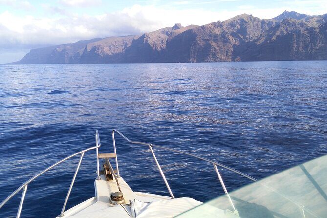 Whale and dolphin watching tour Los Gigantes and Masca in small groups - The Sum Up