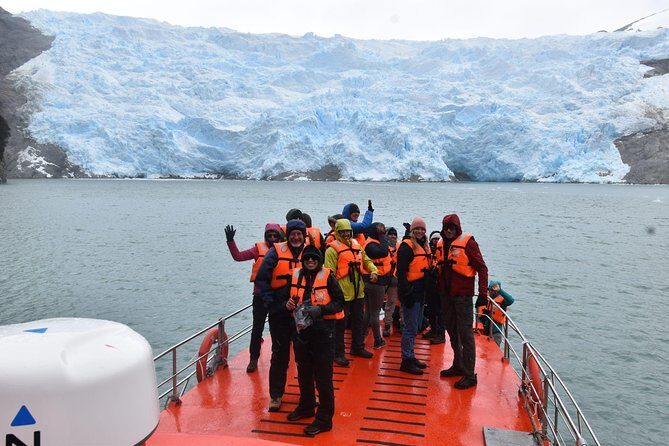 Whale and Glacier Watching from Punta Arenas Francisco Coloane Park - Who Will Love This Tour?