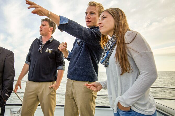 Whale and Wildlife Yacht Cruise in Santa Barbara - An In-Depth Look at the Whale and Wildlife Yacht Cruise