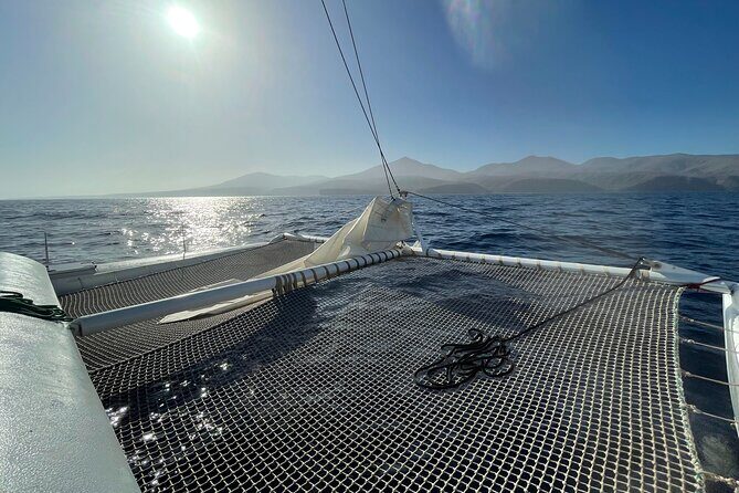 Whale & Dolphin Observation on Silent Catamaran with Hydrophone - Discover Lanzarote’s Marine Wonders on a Silent Catamaran Tour