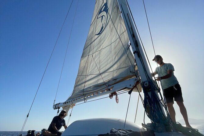 Whale & Dolphin Observation on Silent Catamaran with Hydrophone - Frequently Asked Questions