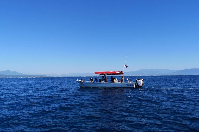Whale Encounter Puerto Vallarta - Frequently Asked Questions