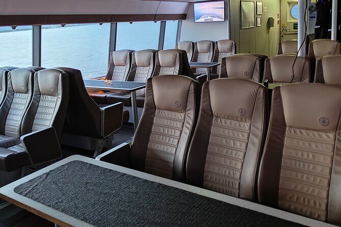 Whale Safari in Tromso - Who Will Love This Tour?