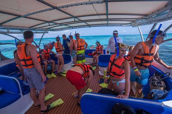 Whale Shark Adventure - The Sum Up: Is This Tour Worth It?