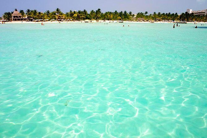 Whale Shark Experience Lifetime Memory in Cancun (snack included) - Who Should Consider This Tour?