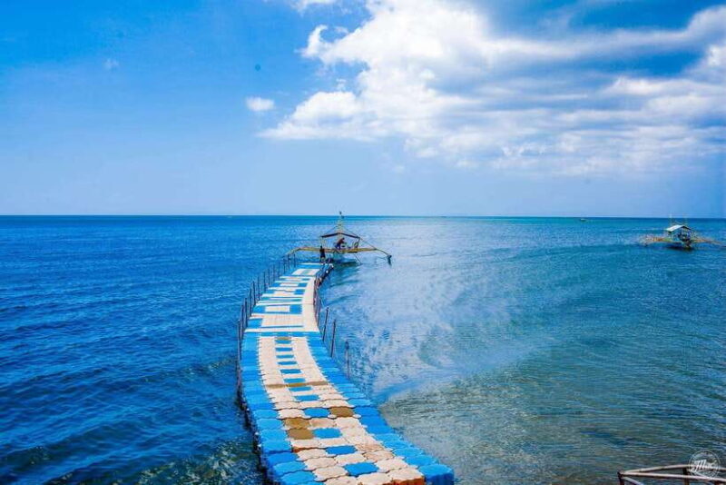 Whale Shark Interaction at Donsol Sorsogon by ZCHEDULISTA - Key Points