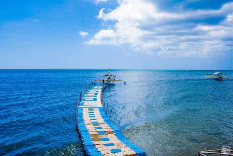 Whale Shark Interaction at Donsol Sorsogon by ZCHEDULISTA - Frequently Asked Questions