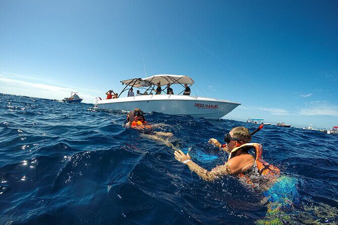 Whale Shark Snorkeling Adventure with Lunch - Who Will Love This Tour?