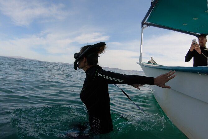 Whale Shark Swimming Adventure: Small Group with Marine Biologist - FAQ