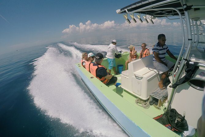 Whale Shark Tour from Cancun, Playa del Carmen, Tulum and Riviera Maya - Final Thoughts