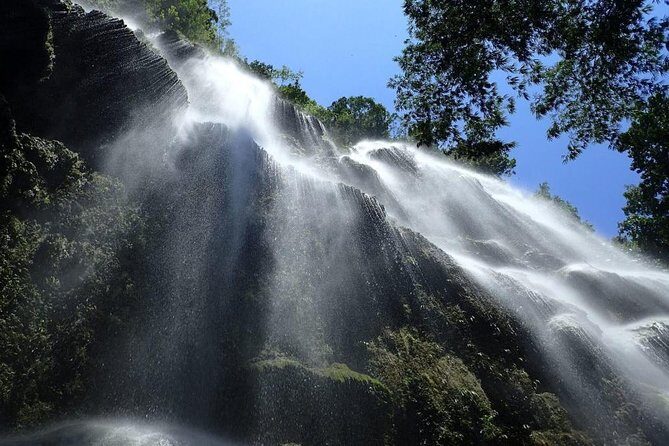 Whale Shark & Tumalog Falls & Sumilon Sandbar & Pescador Island with Sardines - The Experience: What You Can Expect