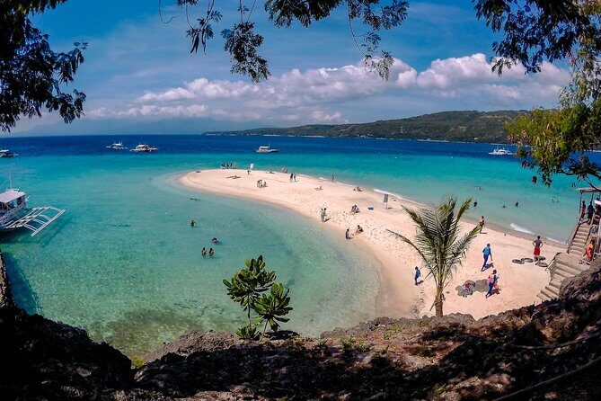 Whale Shark Watching + Simala Church Day Tour - A Deep Dive into Cebu’s Must-See Spots