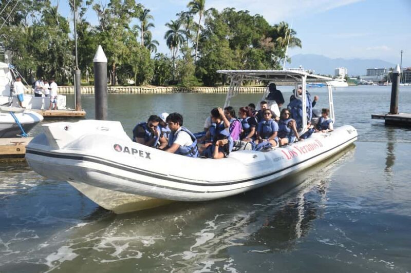 Whale Tour in Puerto Vallarta by Speedboat or Catamaran - Wrapping Up