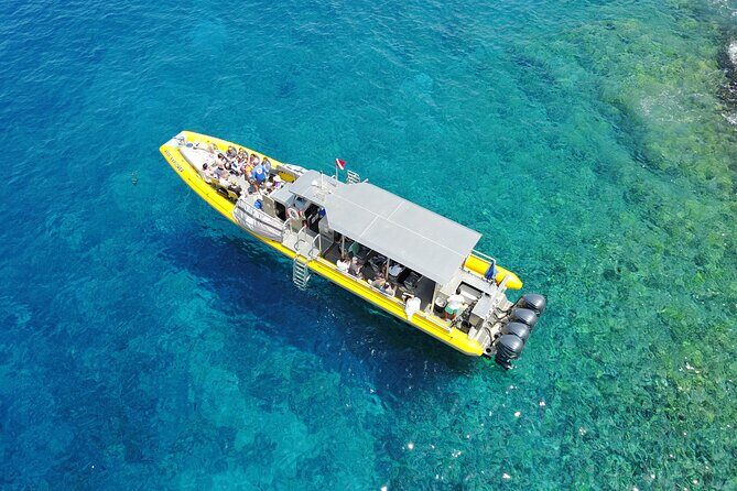 Whale Watch Adventure Aboard Maui's Only Luxury Super Raft - Practical Tips for Your Whale Watching Trip