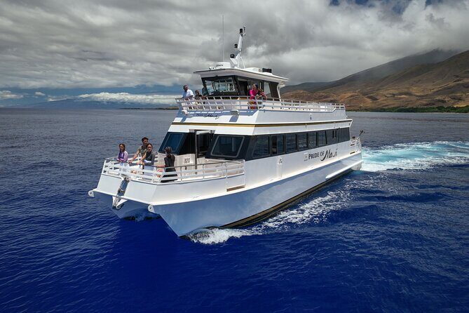 Whale Watch and Turtles Snorkel - An In-Depth Look at the Maui Whale Watch and Snorkel Adventure