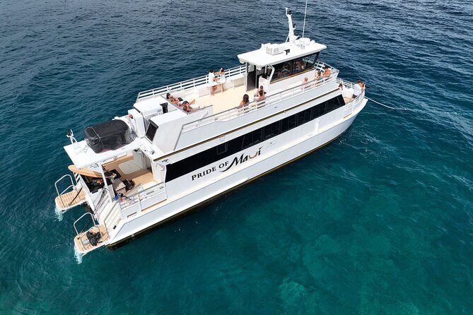 Whale Watch and Turtles Snorkel - FAQ