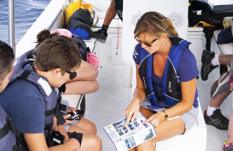 Whale Watch Cabo: Zodiac Whale Adventure - FREE Photos - Key Points