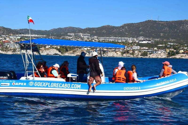Whale Watch Cabo: Zodiac Whale Adventure - FREE Photos - FAQs