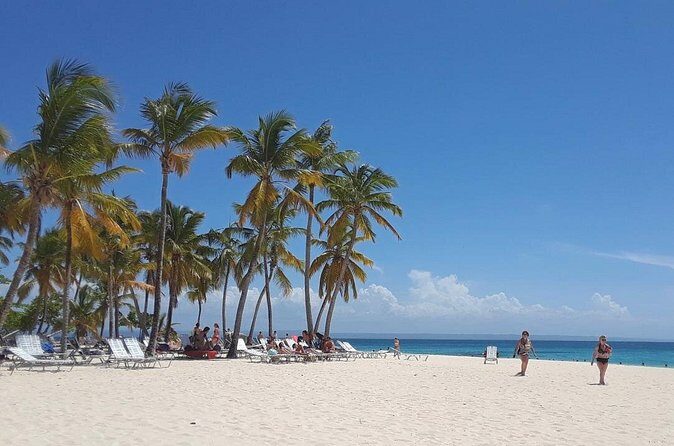 Whale Watching 2026 from Punta Cana - Full Day - Who Will Love This Tour?