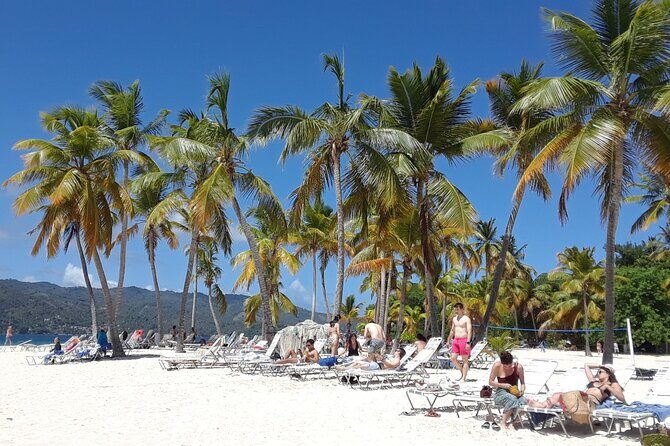 Whale Watching 2026 from Punta Cana - Full Day - Final Recommendations