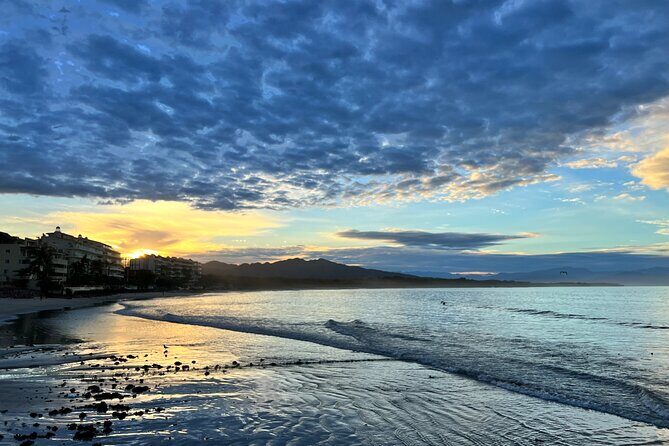 Whale watching - Whales in Puerto Vallarta: An Experience to Remember
