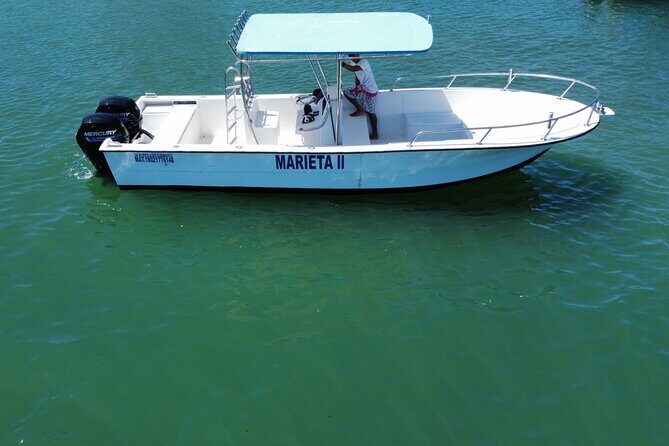 Whale watching - Key Points