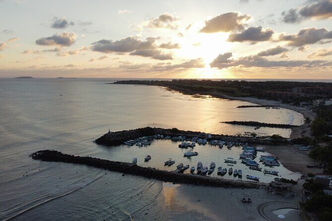 Whale watching - Who Will Love This Tour?