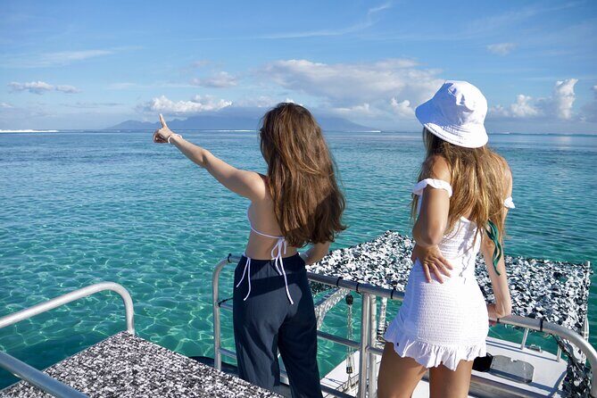 Whale Watching Activity - Why This Whale Watching Tour Stands Out