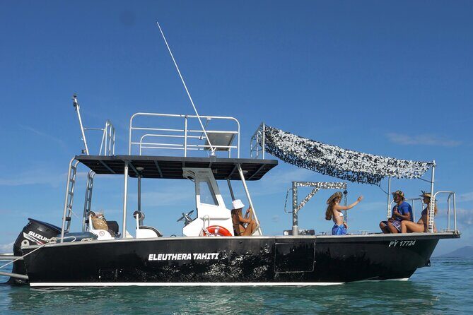Whale Watching Activity - Who Should Consider This Tour?