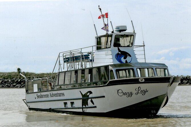 Whale Watching Adventure from Vancouver BC - FAQ