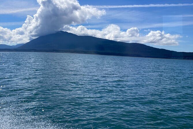 Whale Watching Adventure in Juneau - FAQs